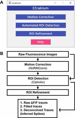 EZcalcium: Open-Source Toolbox for Analysis of Calcium Imaging Data